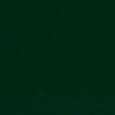 240_cargo-green-cg.jpg